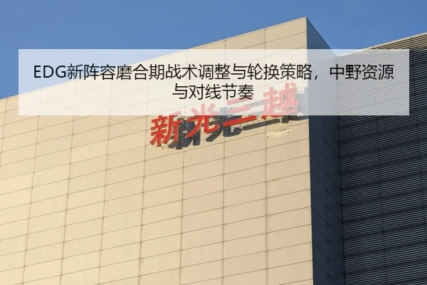 EDG新阵容磨合期战术调整与轮换策略，中野资源与对线节奏