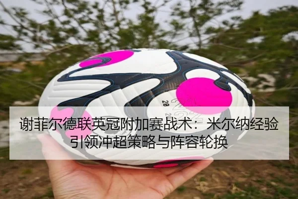 谢菲尔德联英冠附加赛战术：米尔纳经验引领冲超策略与阵容轮换